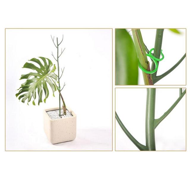 Plant Support Sticks Simulation Tree Branch Shape Plant Pole Floral Sticks  Garden Flower Sticks Green Plant Stakes Split Canes - AliExpress